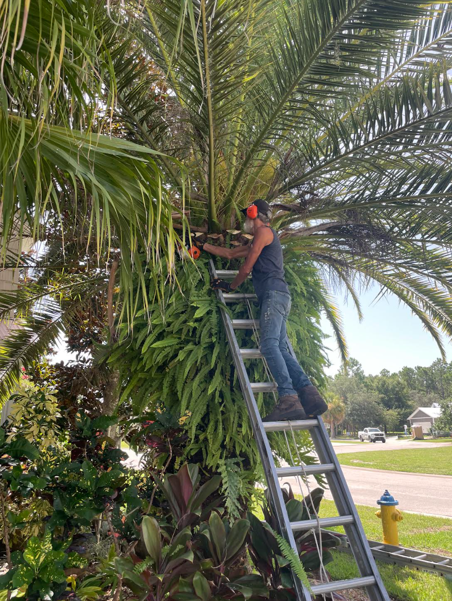 Kirby's Expert Tree Service crew at work